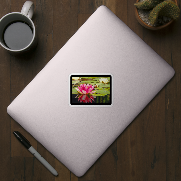 Meditation Wall Art Print - Water Lily Meditation - canvas, Photo print, artboard print, poster Canvas Print by DigillusionStudio